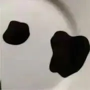 Cherry☆の画像