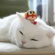 しゅぷしゅが