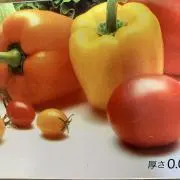 まついの画像