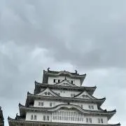 M.の画像