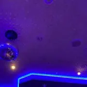 キャベツの画像