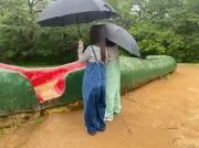 こゆの画像