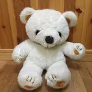 COCOの画像