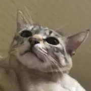わー