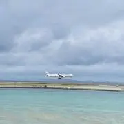 Ayの画像
