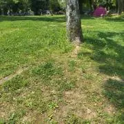 断捨離中の画像