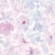 HANAの画像