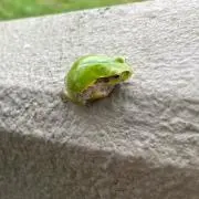 そらの画像