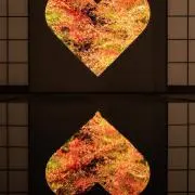 Y★の画像
