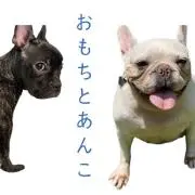 おもちとあんこの画像