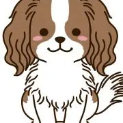 ROOの画像