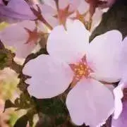 ちゃんも☺︎の画像