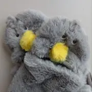 はしびろの画像