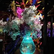 メガネザムライの画像