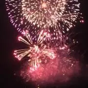 くま