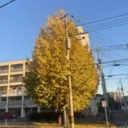 秋エレ