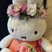 ぺたの画像