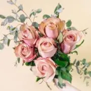 Miel et Rose/プロフご一読をの画像