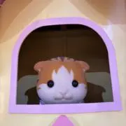 ねねの画像