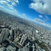 ぴょん