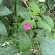 たん ※断捨中の画像