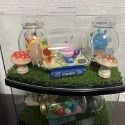 ひょの画像