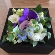 ベイの画像