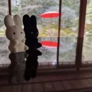 ぱにの画像