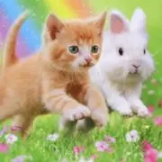 ぬえの画像