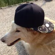 しーえもん