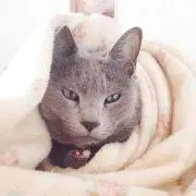 美ゅ