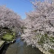 Kenkenの画像