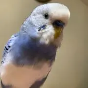 海斗！！4歳でーす