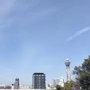 碧の画像