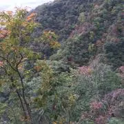 おてくの画像