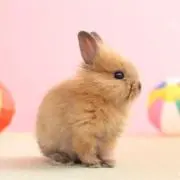 808☆の画像