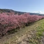 H.Oの画像
