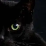 Reの画像