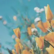 i7の画像