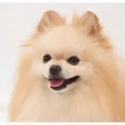 れき