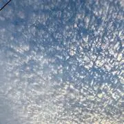 ゆぅの画像