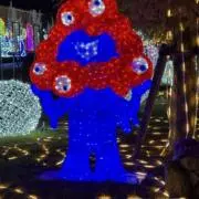 るいの画像
