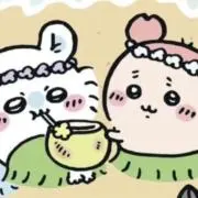 モモの画像