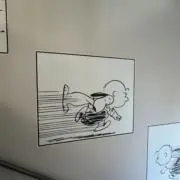 ごりらぱんつの画像