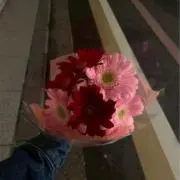 いおの画像