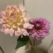 mchyoの画像