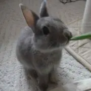 ゆあ