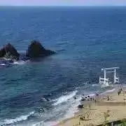 ムーちゃん☆の画像