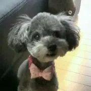 Fumie.t