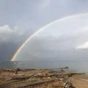 JUNICHIの画像